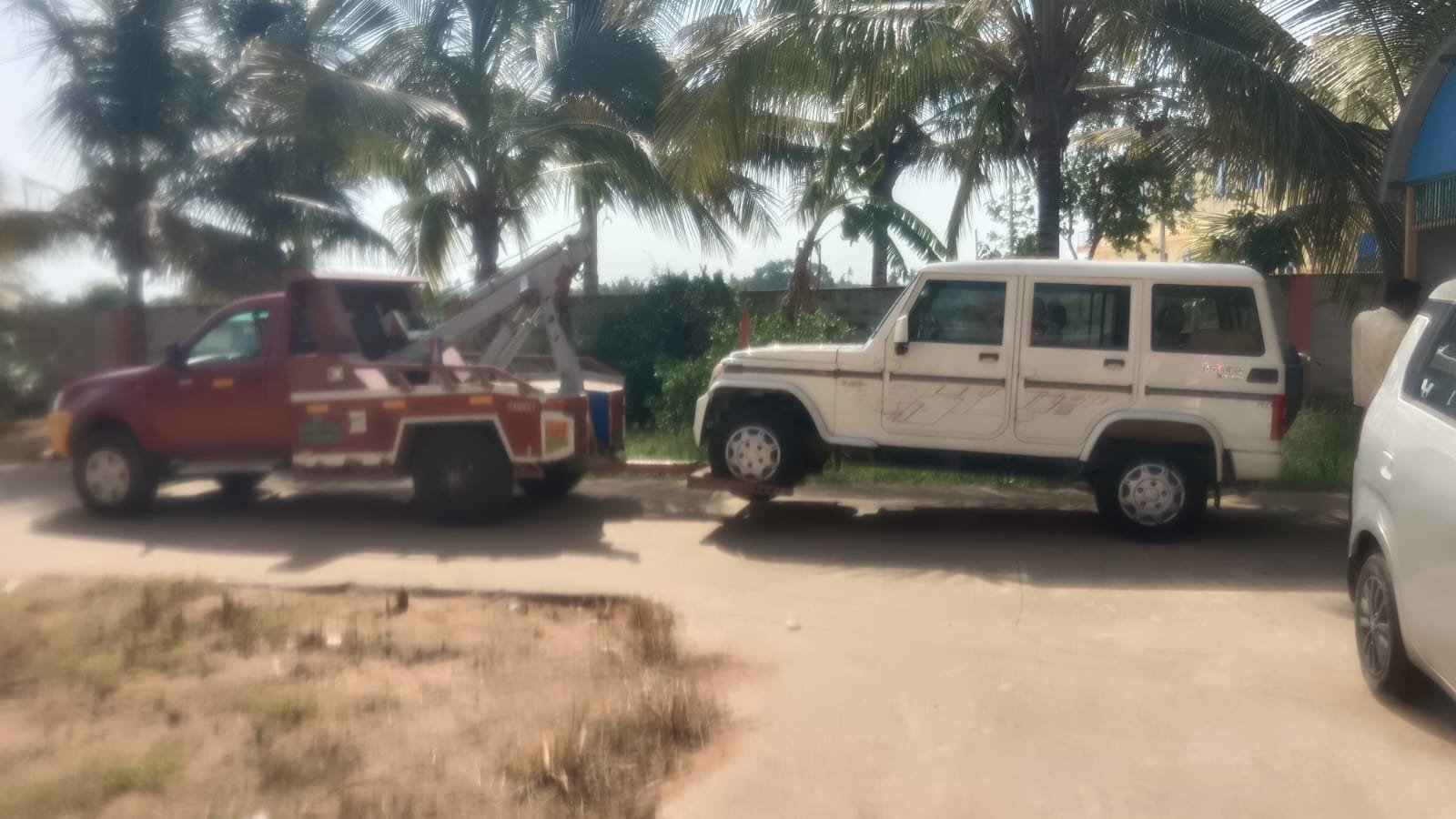 SUV recovery near palm trees
